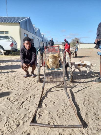 Ein Herz für Tiere im östlichen Namibia