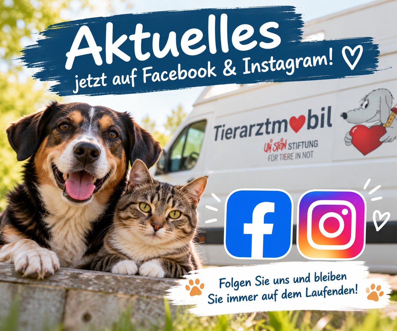 Was gibt es Neues bei der Uli Stein Stiftung für Tiere in Not?